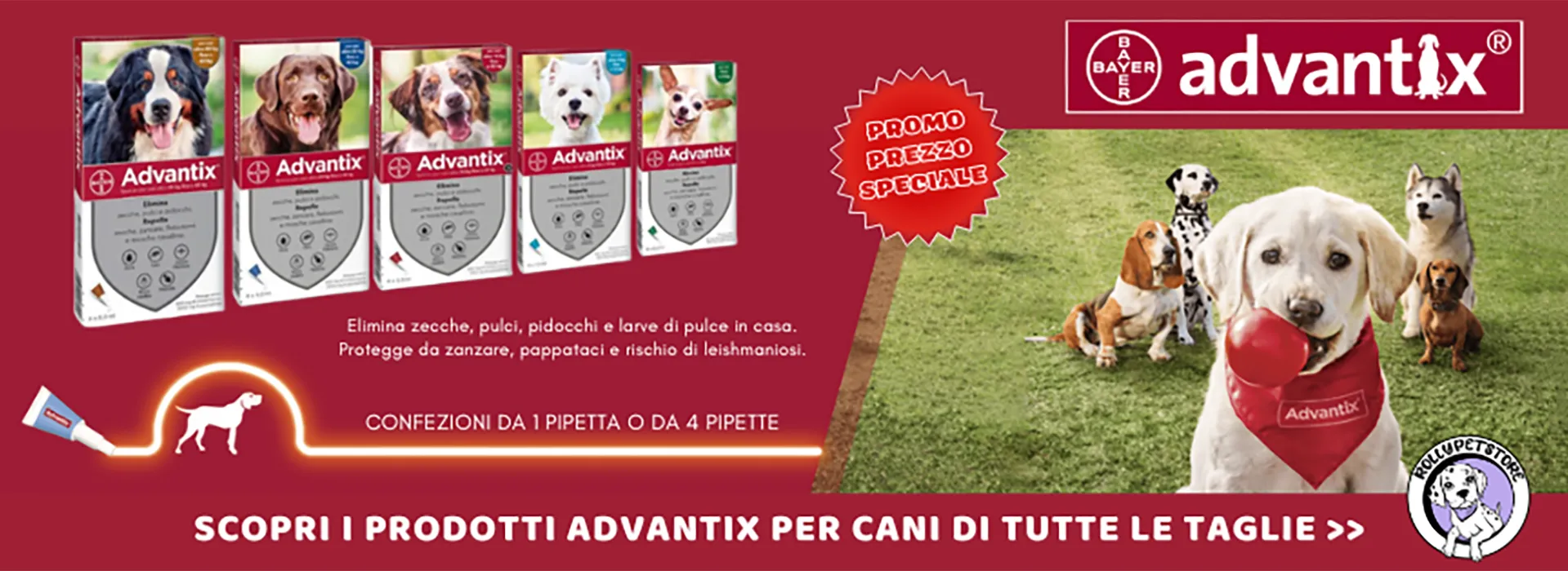 banner-advantix