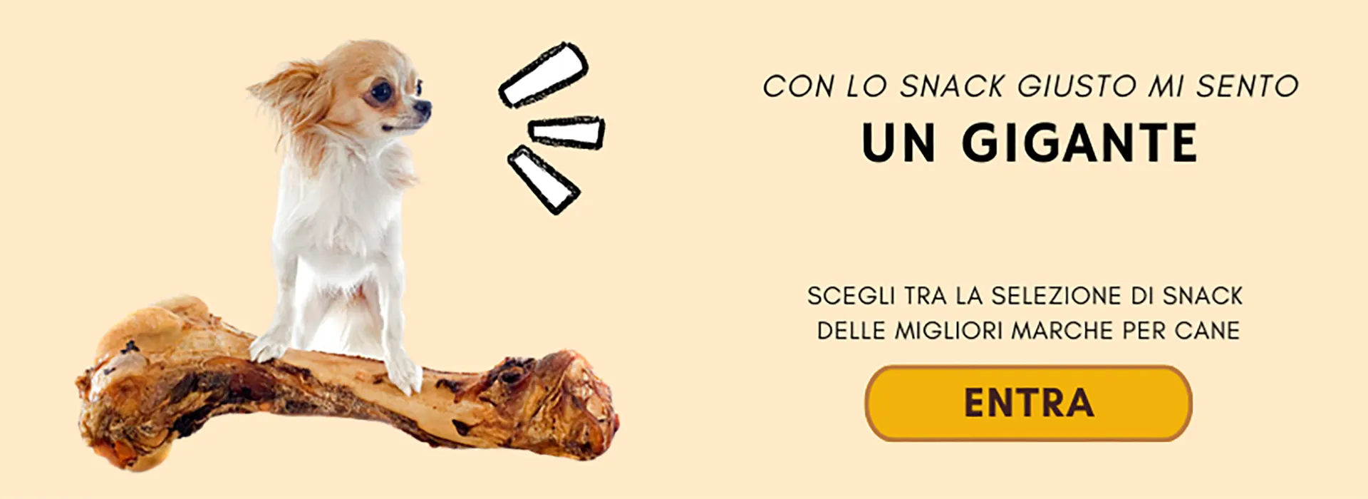 banner-snack-cane-home