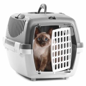 Rolly Pet Store